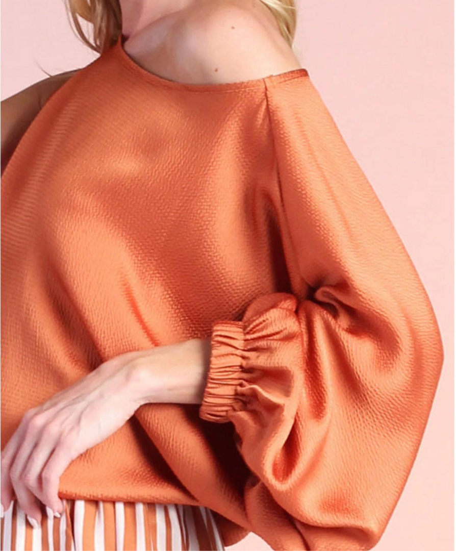 One Sleeve Rust Top